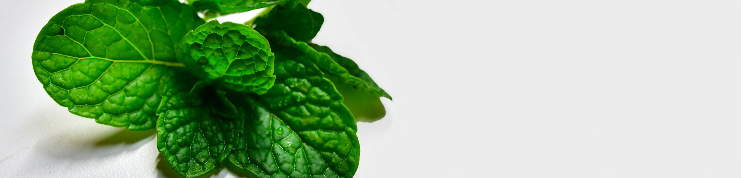 ベストベジタブル