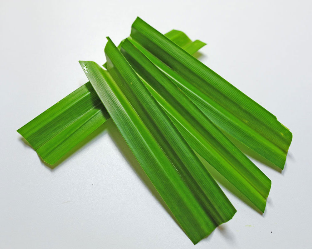 パンダンリーフ