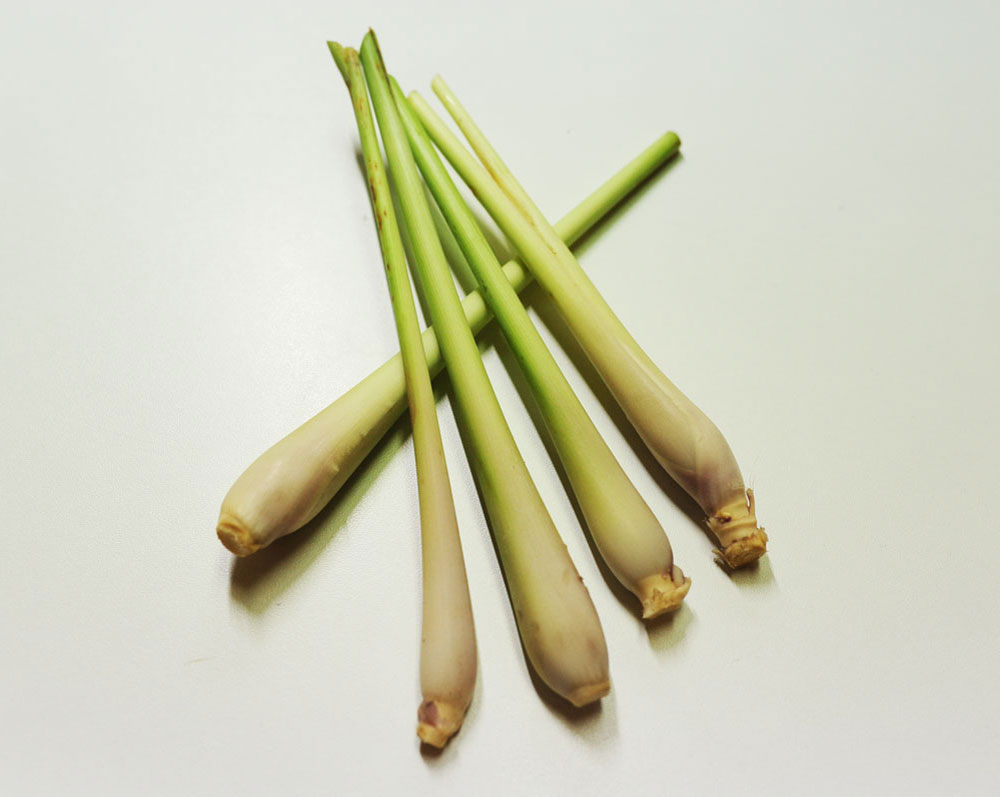 レモングラス（茎）