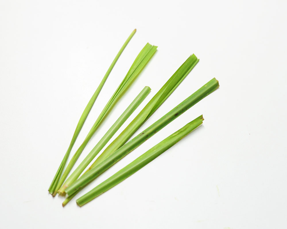 レモングラス（葉）