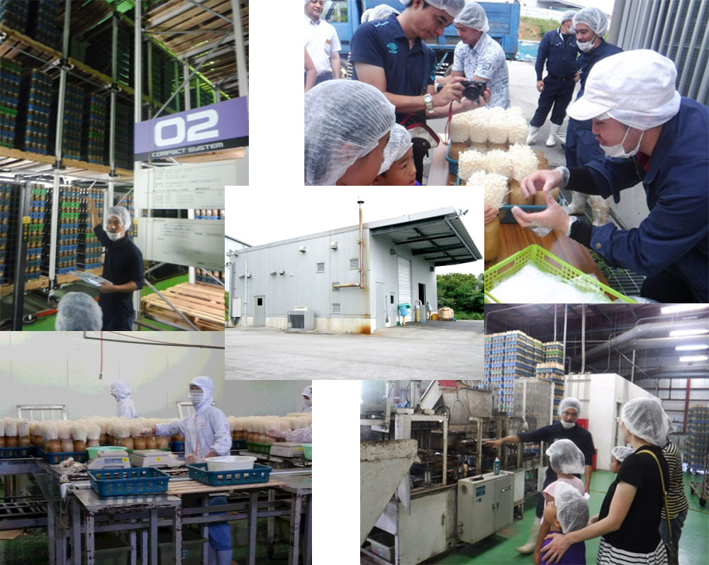 今帰仁きのこ園