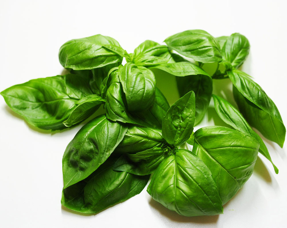 スイートバジル